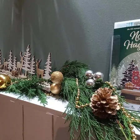 La De Shakespeare Mini-maison à Haguenau